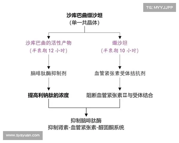 突发心脏骤停:专家警示缬沙坦与特定降压药的潜在风险(缬沙坦对心脏有保护作用吗) 突发心脏骤停:专家警示缬沙坦与特定降压药的潜在风险(缬沙坦对心脏有保护作用吗)